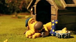 بره ناقلا (یک روز جای بیتزر)